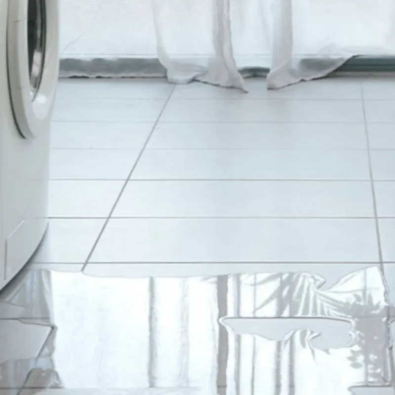 Appliance Leak Cleanup in Yale, MI