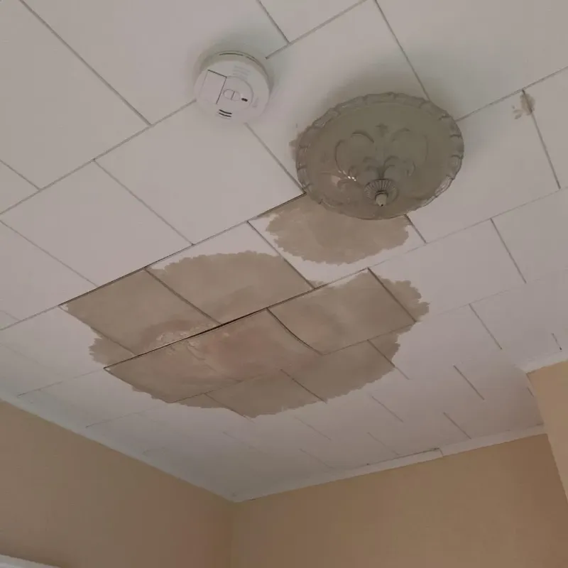 Ceiling Water Damage Repair in Yale, MI