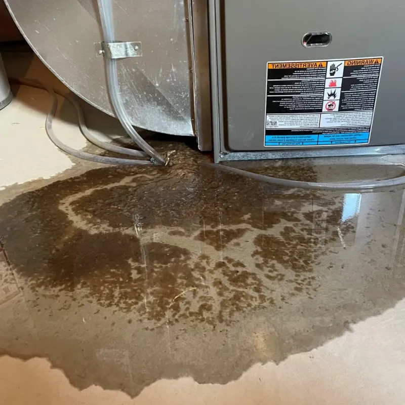 Pipe Burst and Leak Restoration in Yale, MI