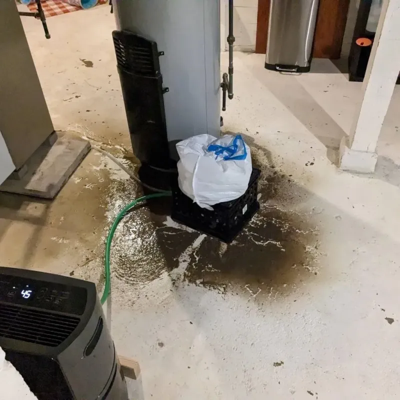 Sewage Backup Cleanup Service in Yale, MI